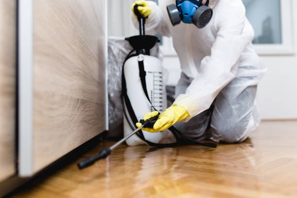 Best Best Pest Control Companies  in Alton, IL