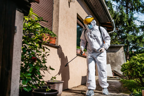 Best Pest Prevention Services  in Alton, IL